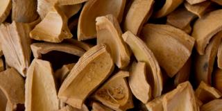 Organic White Mulberries