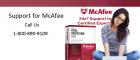 Dial Mcafee Customer Service Phone Number 1-800-979-9206 